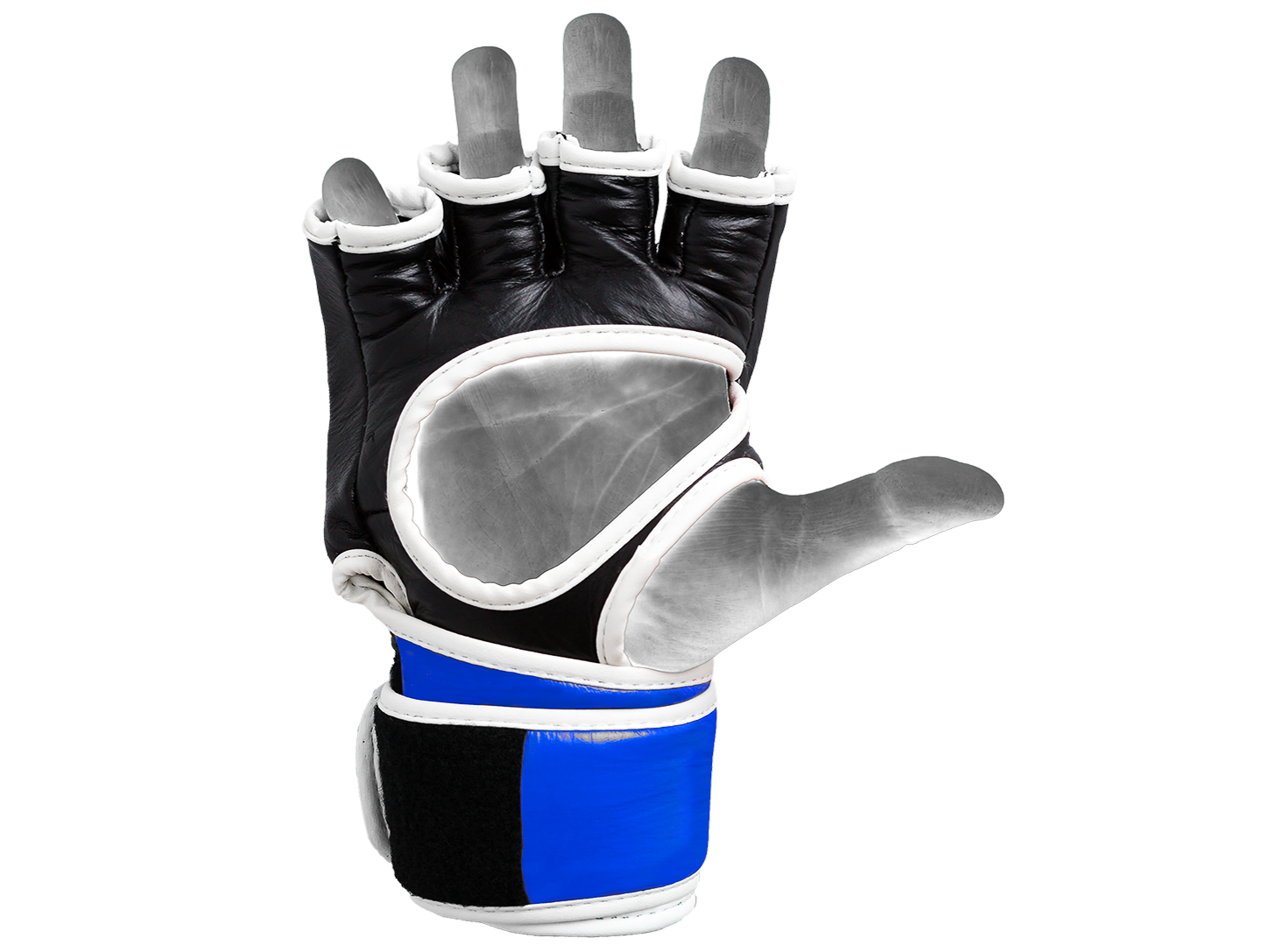 MMA Gloves Competition Flexleder