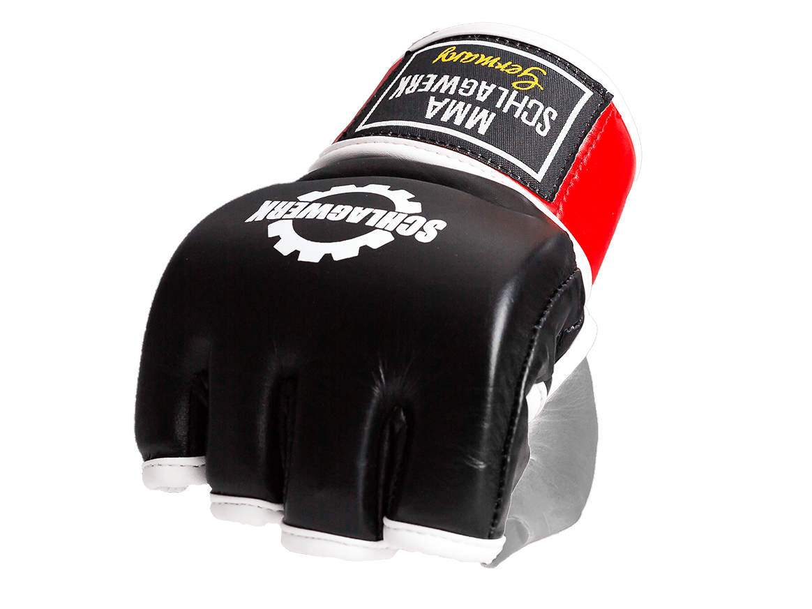 MMA Gloves Premium Free Fight